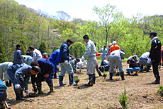 環境省指針